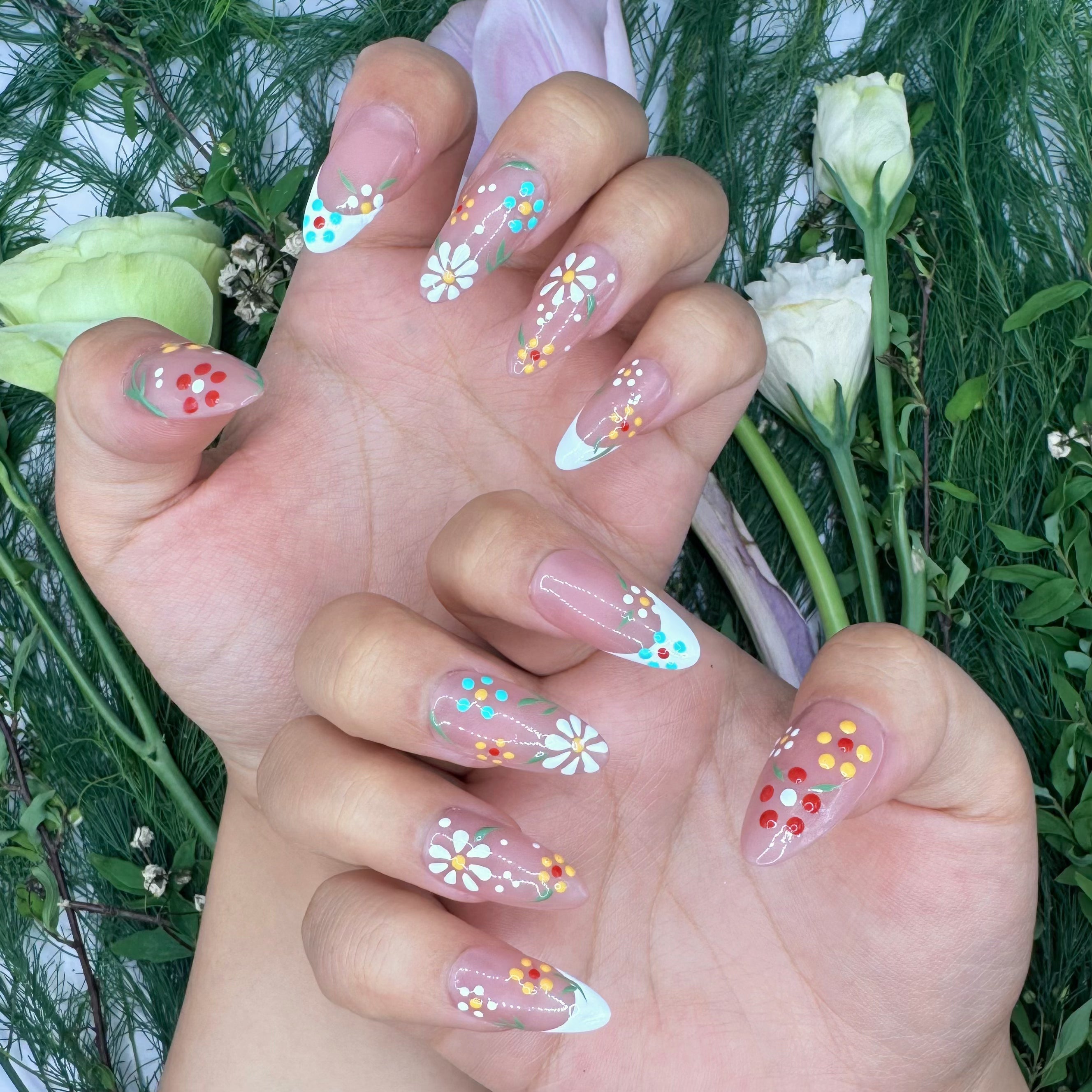 Sunlit Daisies